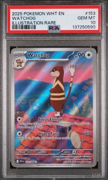 PSA-graded Pokemon Watchog illustration rare card from 2025 set, showing the character with Focus Energy and Hyper Fang moves.